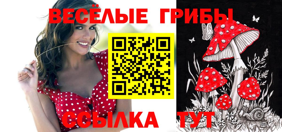 Псилоцибиновые грибы MAGIC MUSHROOMS  Вход с VPN  где можно купить наркотик  Алатырь 